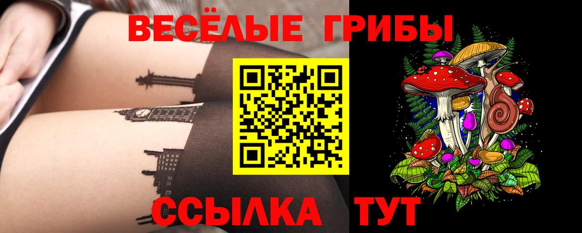 Псилоцибиновые грибы мухоморы Ярцево