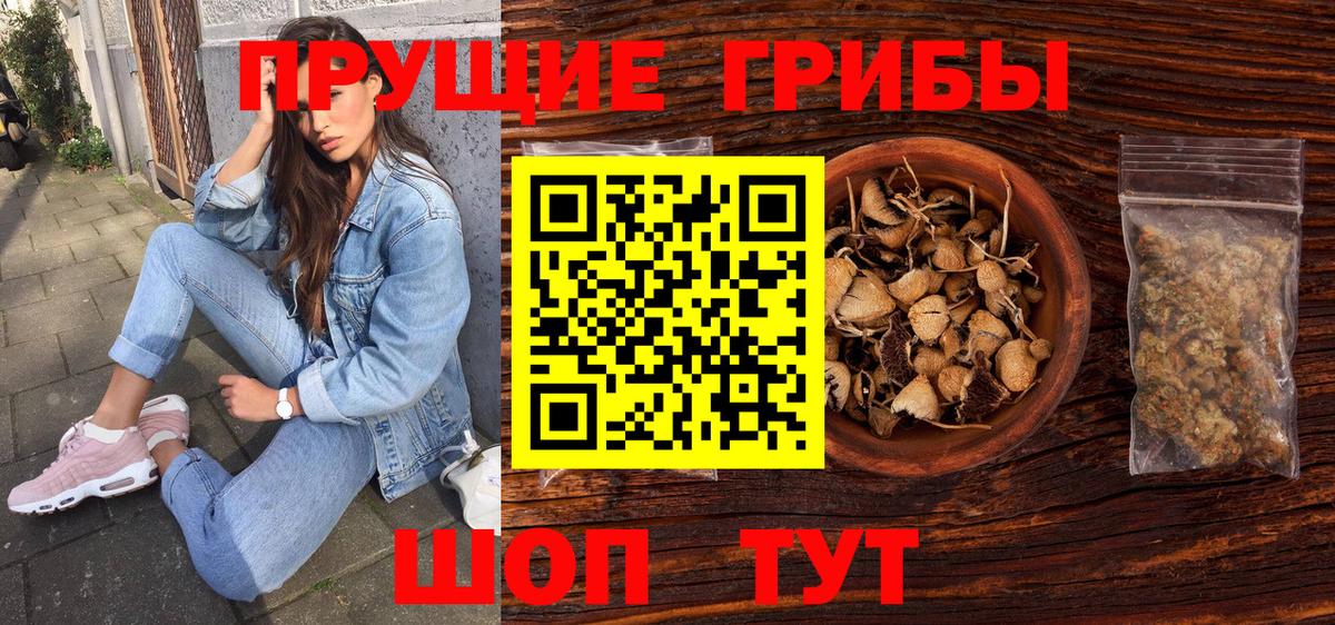 Псилоцибиновые грибы Psilocybine cubensis  Вход с VPN  Ярцево 